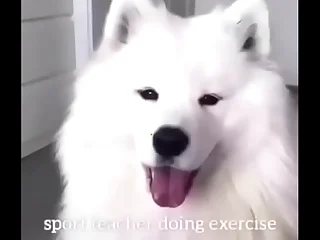 Girl fucks doggiestyle